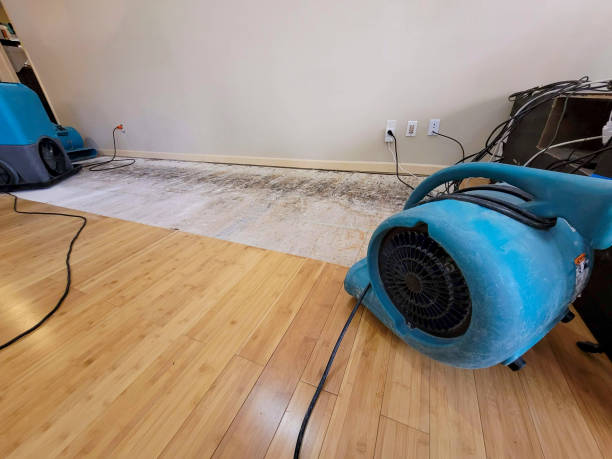 Professional Flood Damage Cleanup technician working in Lagrange, ME